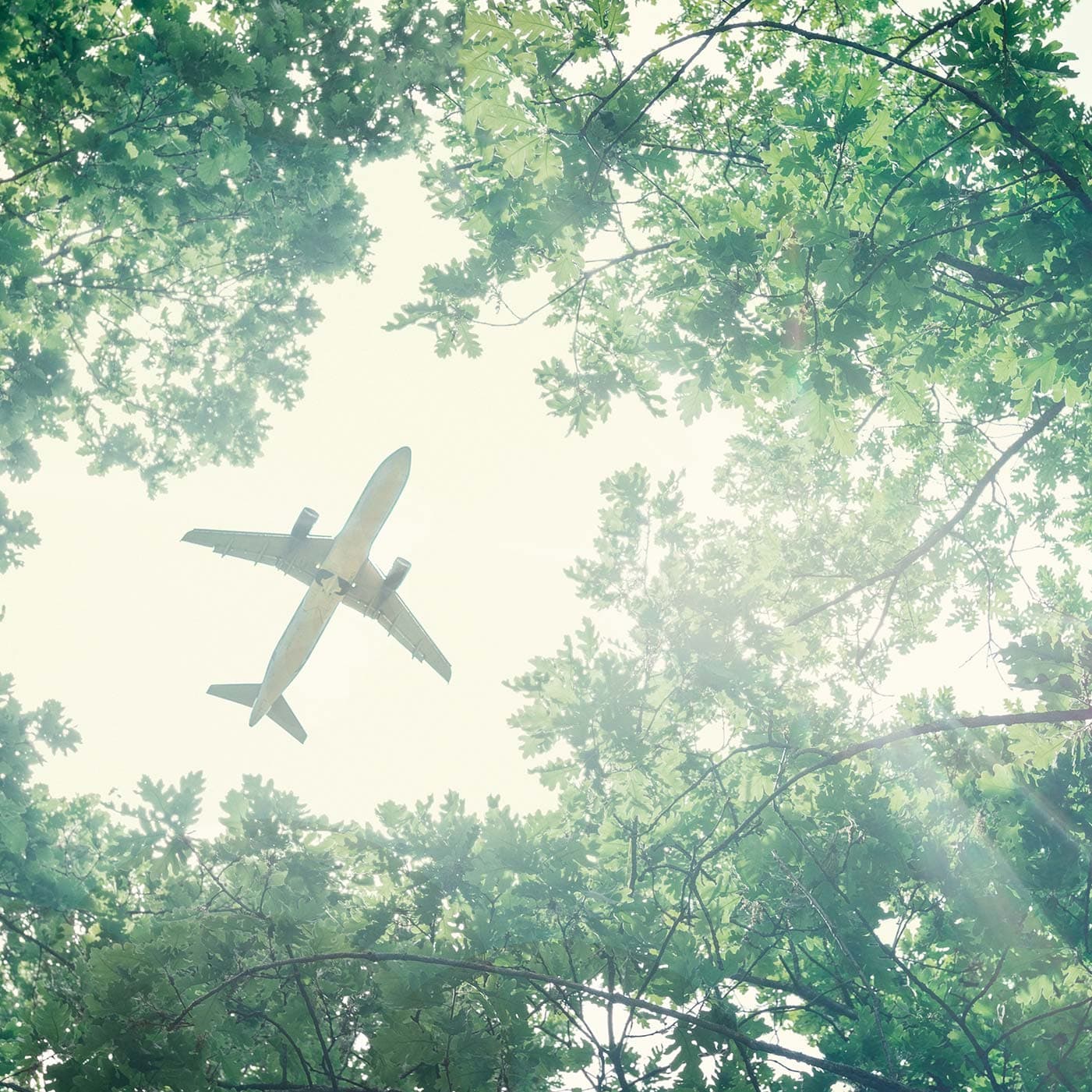 Avion de ligne survolant une forêt, symbolisant l’engagement environnemental de Sabena technics