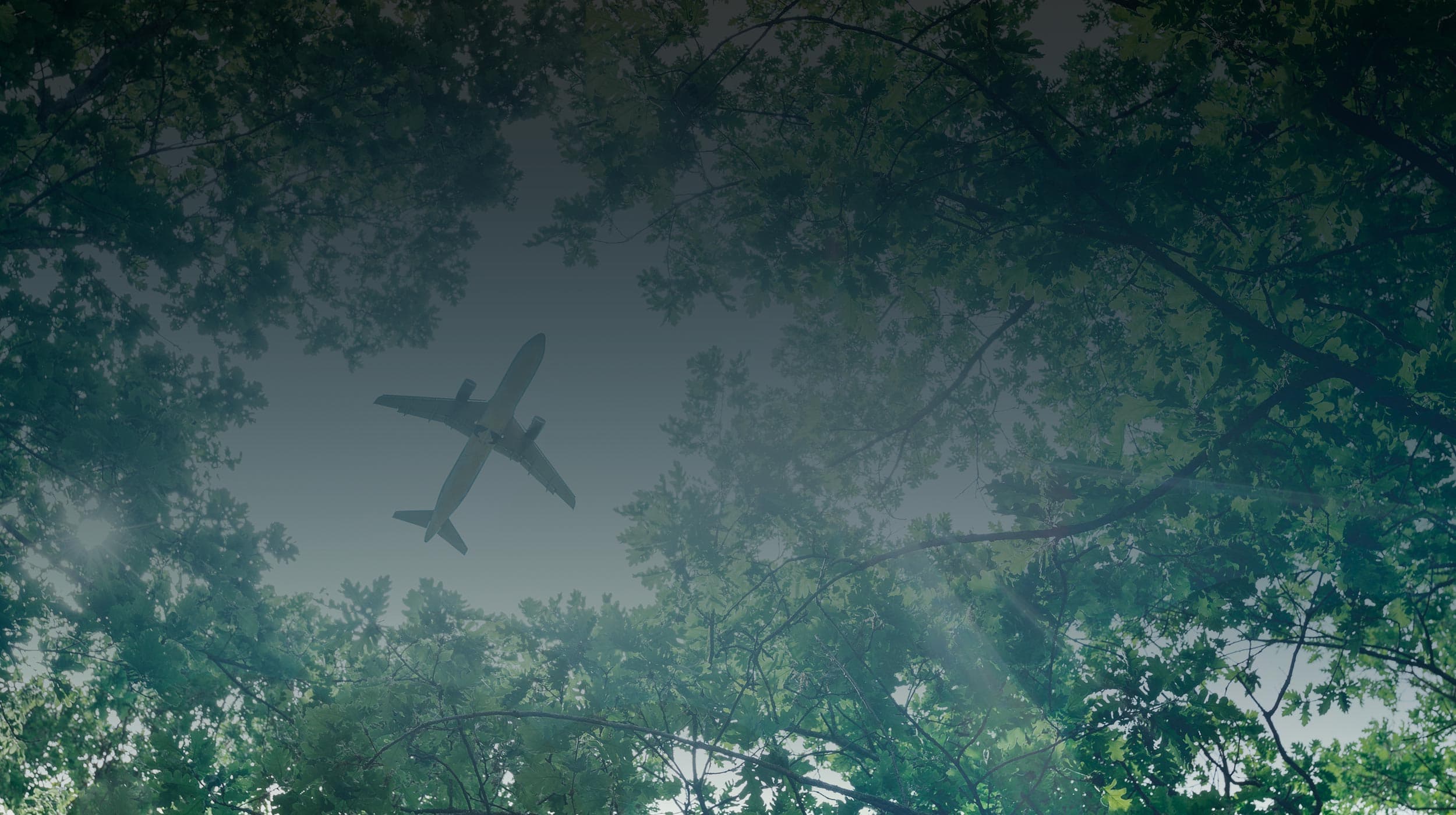 Commercial aircraft flying over a forest, symbolizing Sabena technics’ environmental commitment